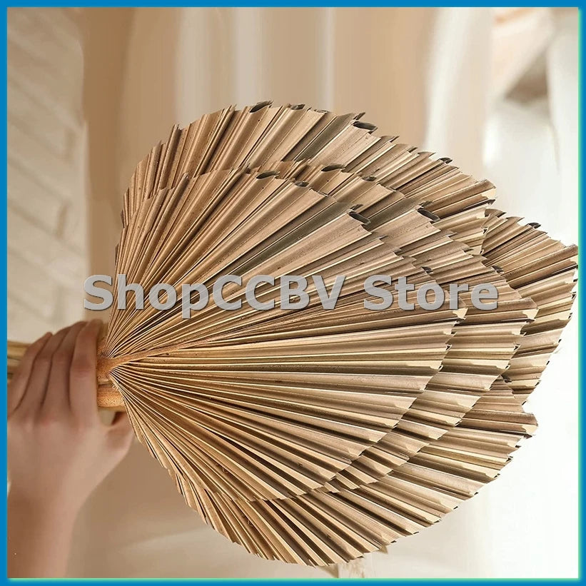 🌴🤍 Boho Dried Palm Leaf Décor – Natural Tropical Fan Leaves (Set of 5)