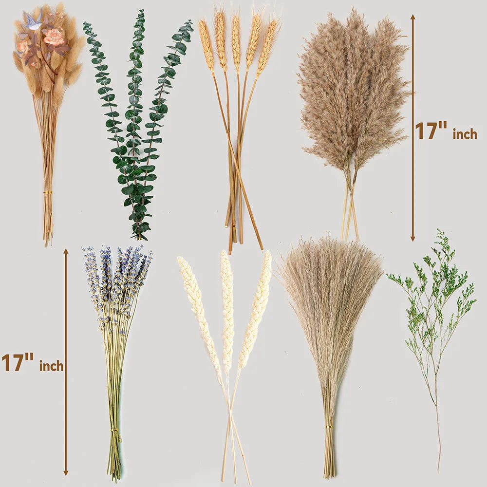 🌿🤍 Boho Dried Eucalyptus Bouquet – Natural Preserved Greenery Bundle (70 Stems)