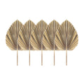 🌴🤍 Boho Dried Palm Leaf Décor – Natural Tropical Fan Leaves (Set of 5)