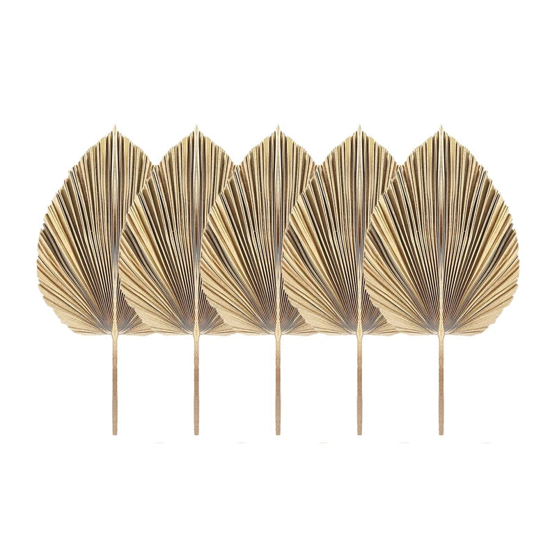 🌴🤍 Boho Dried Palm Leaf Décor – Natural Tropical Fan Leaves (Set of 5)