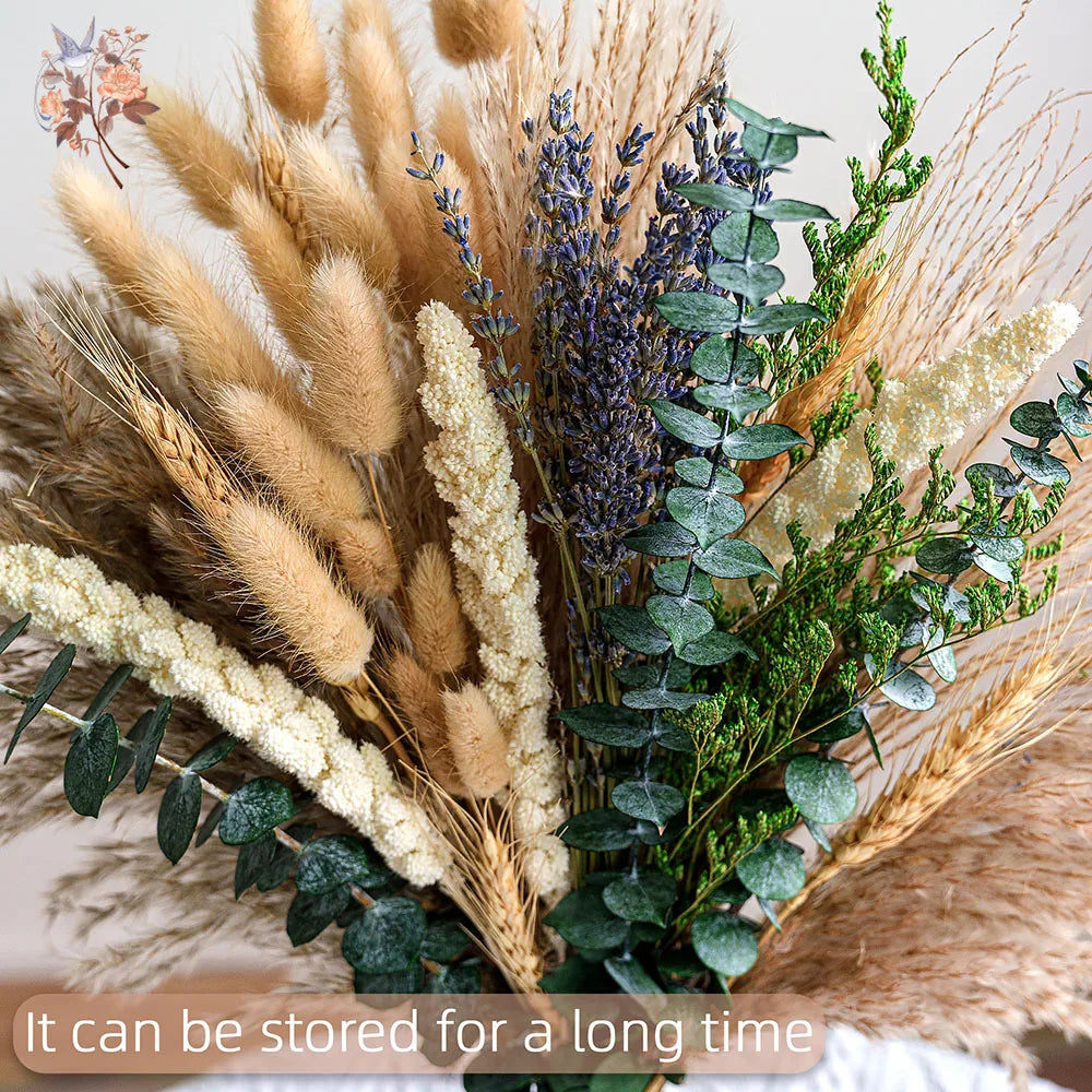🌿🤍 Boho Dried Eucalyptus Bouquet – Natural Preserved Greenery Bundle (70 Stems)