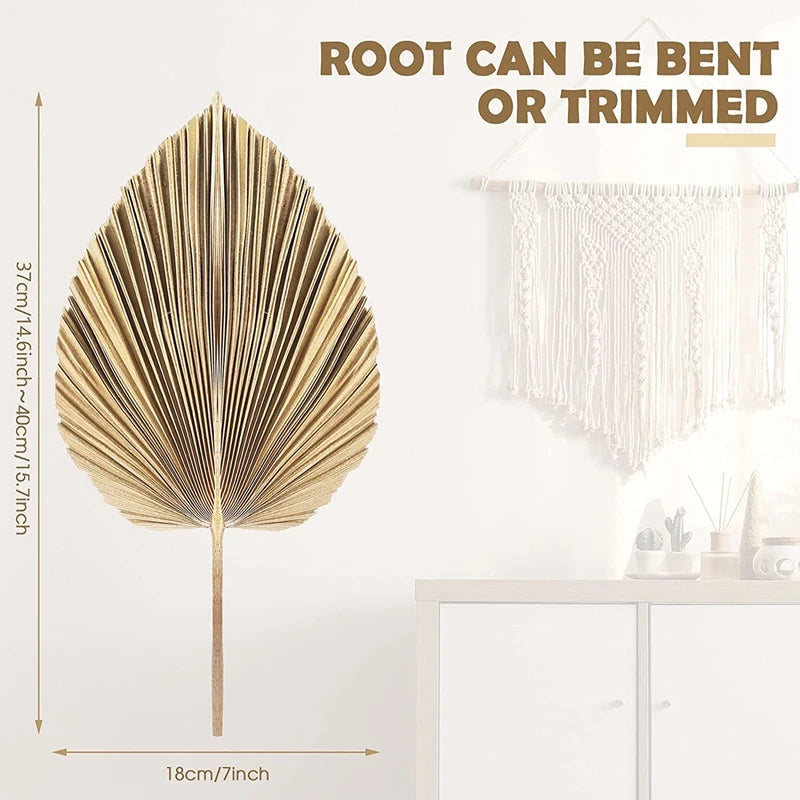 🌴🤍 Boho Dried Palm Leaf Décor – Natural Tropical Fan Leaves (Set of 5)