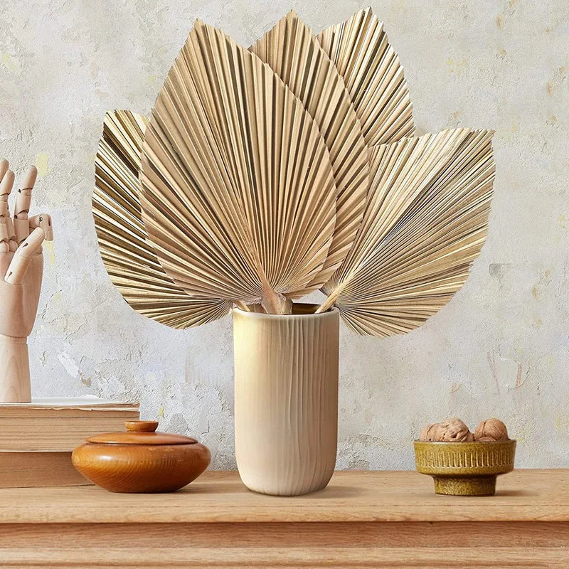 🌴🤍 Boho Dried Palm Leaf Décor – Natural Tropical Fan Leaves (Set of 5)